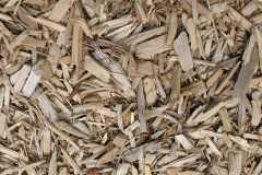 biomass boilers Cyncoed