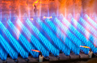 Cyncoed gas fired boilers